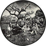 Grateful Dead ‎– Aoxomoxoa PICTURE DISC VINYL LP