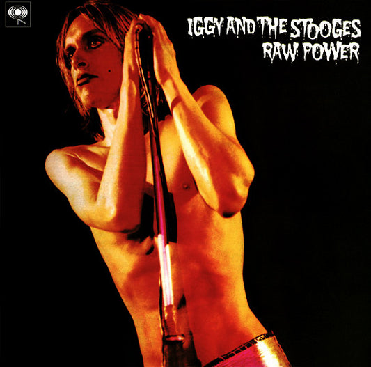 Iggy And The Stooges - Raw Power - 2 x 180 GRAM VINYL LP SET