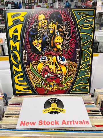 Ramones – Acid Eaters - VINYL LP (used)