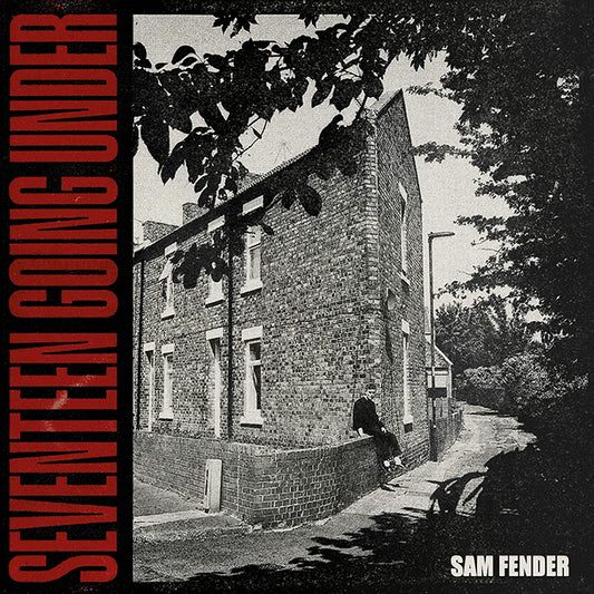 Sam Fender – Seventeen Going Under - 180 GRAM VINYL LP (NEW)