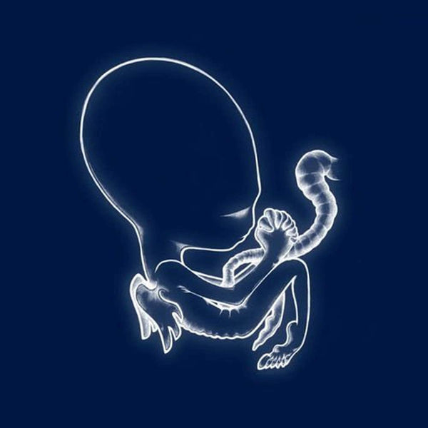 Sigur Ros ‎– Agaetis Byrjun VINYL LP