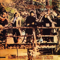 steeleye span hark! the village wait CD (WARNER)