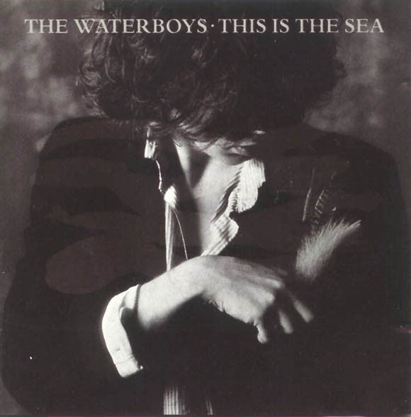 The Waterboys This Is The Sea 180 GRAM VINYL LP